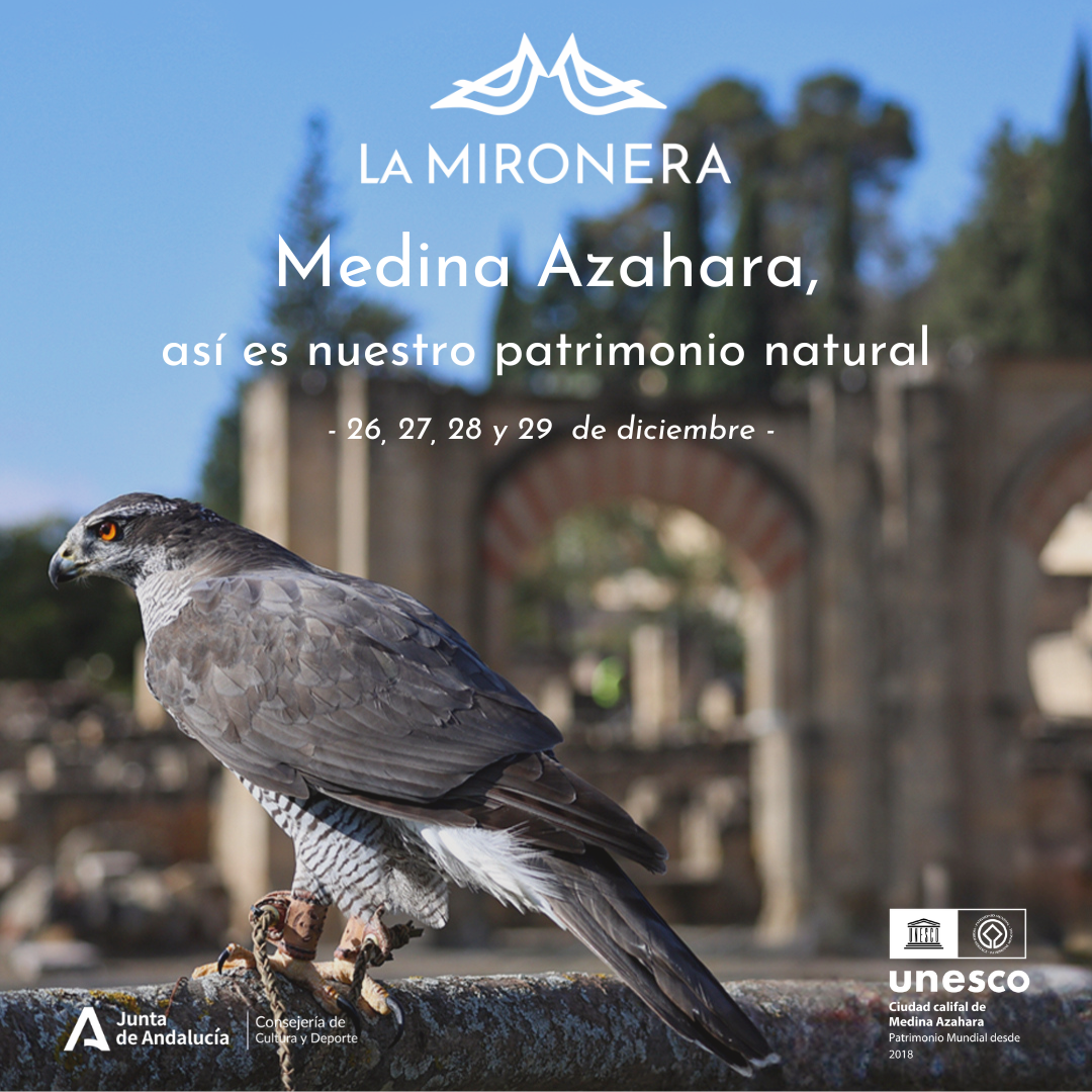 Medina Azahara 2024